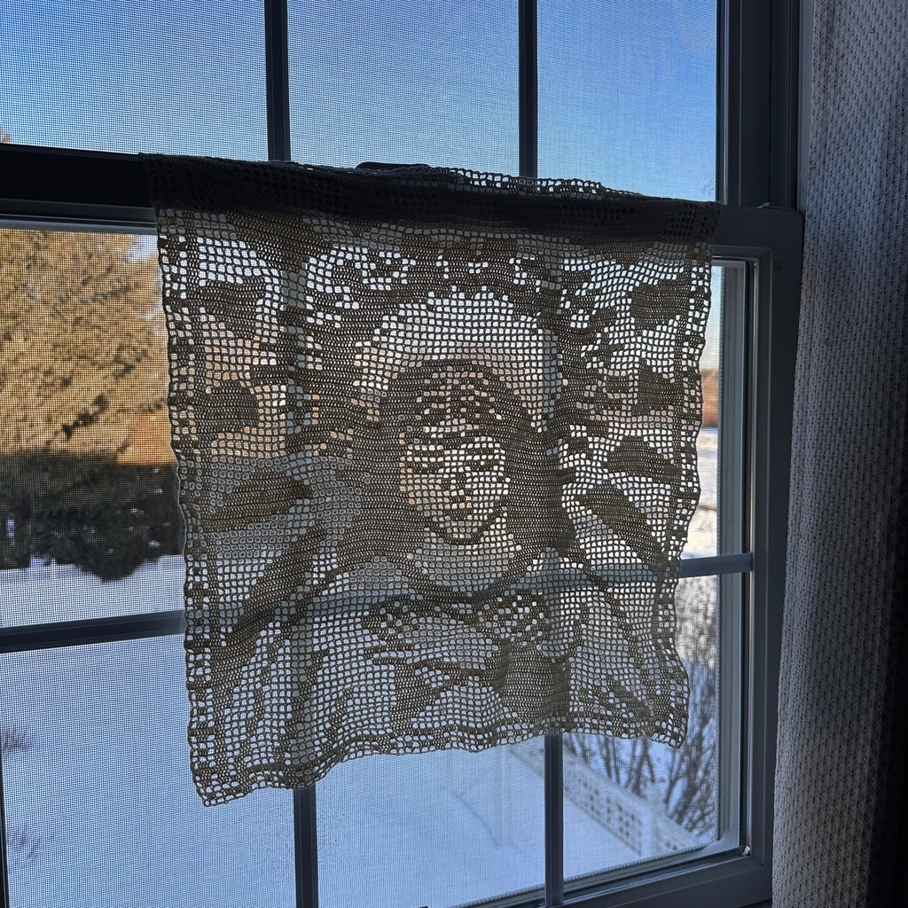 Decorative lace curtain hanging in front of a window with blue sky and trees outside.